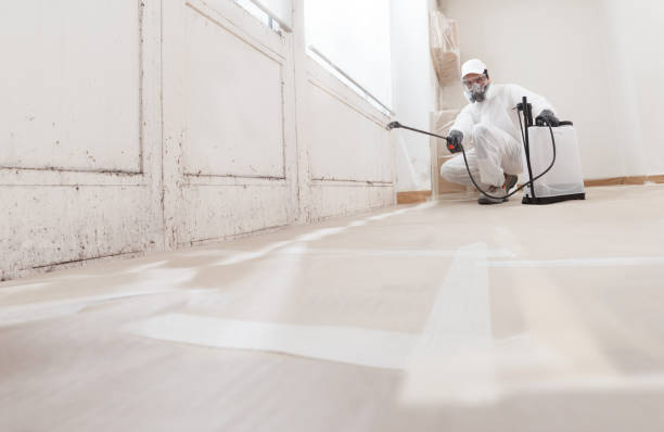 24/7 Emergency Attic Mold Removal experts in Ephrata, WA